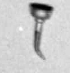 Öl-Einfülltrichter 4 Stück